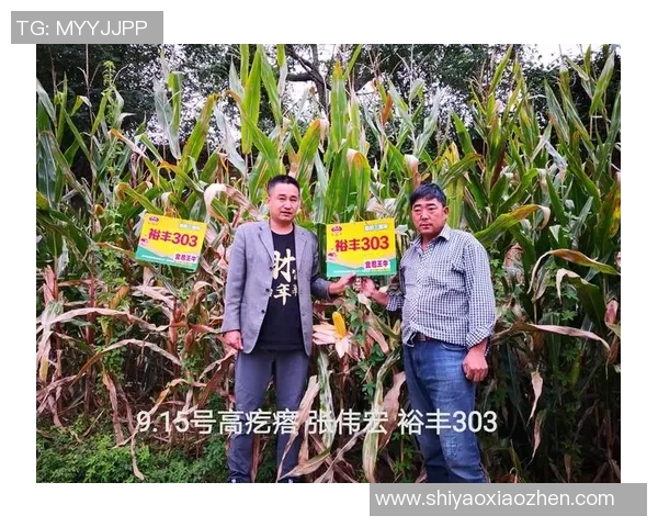 头号种子与三号种子的巅峰对决谁将赢得最终胜利 头号种子与三号种子的巅峰对决谁将赢得最终胜利